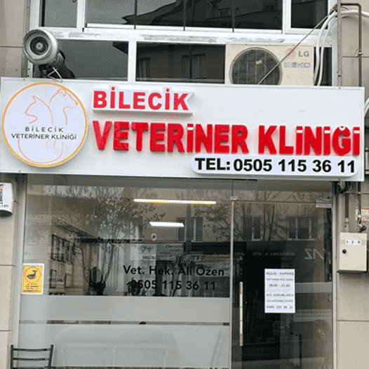 Giriş
